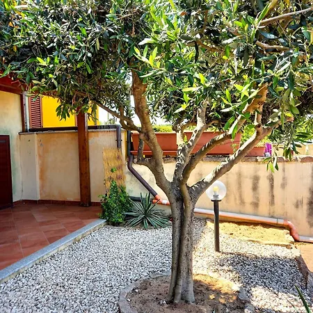 Appartement Affittimoderni Ulivo *